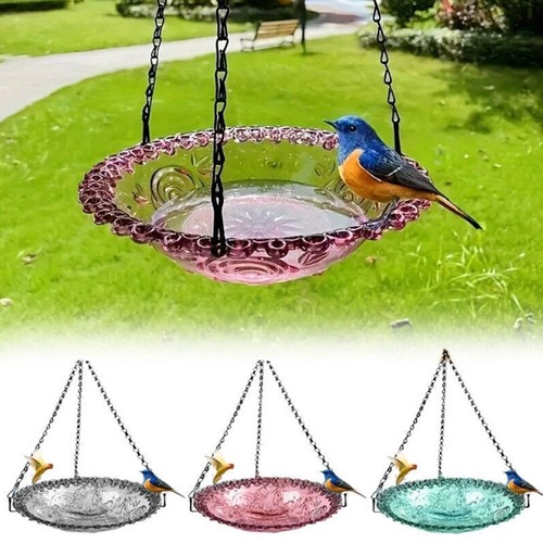 Hanging bird feeder - hanging, with