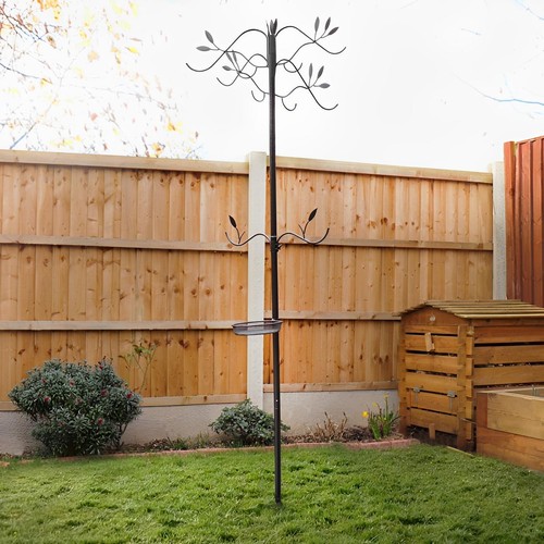 Garden wild bird - garden,