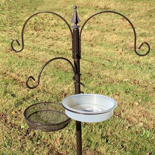 Metal bird feeding - bird,