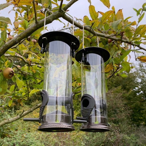 Hanging garden bird seed - garden,