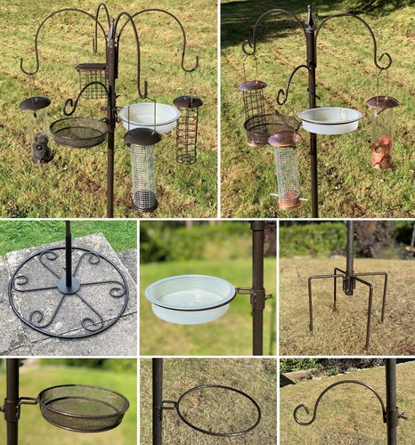 Bird feeding station - feeding,