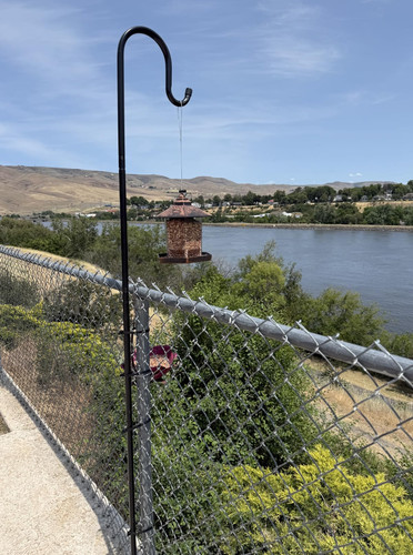Bird feeders hanging station - hanging,