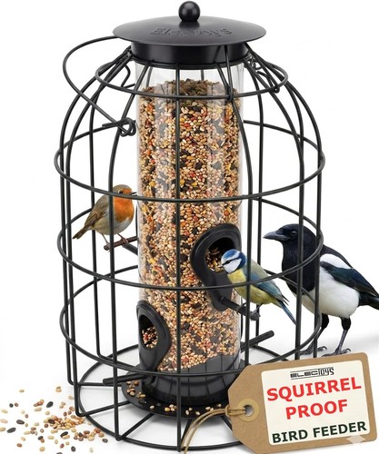 Squirrel proof hanging bird - squirrel,