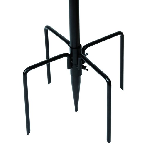 Wild bird feeder feeding - bird,