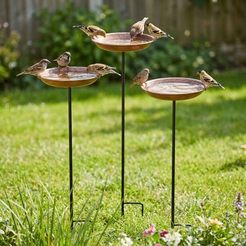Metal bird bath - bird,