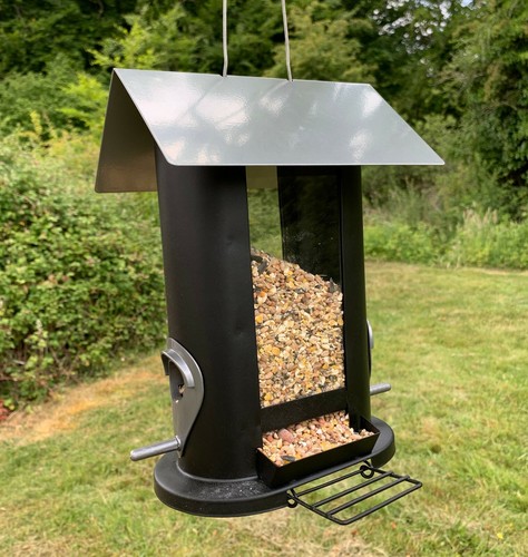 Oval shaped hanging bird - hanging, seed