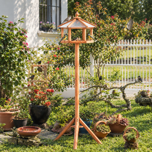 Bird feeding station - bird,
