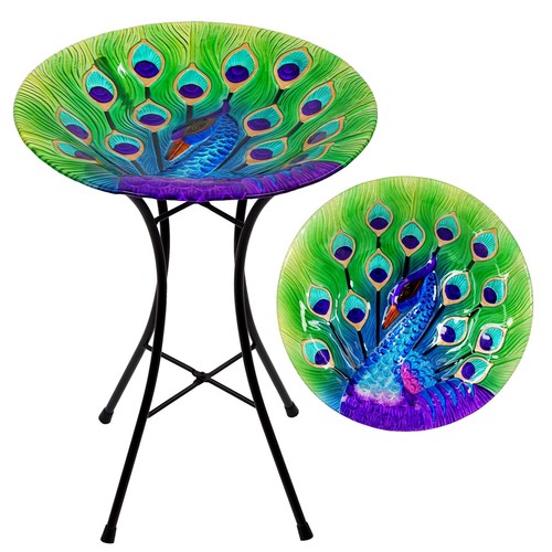 Garden bird bath peacock - bird,