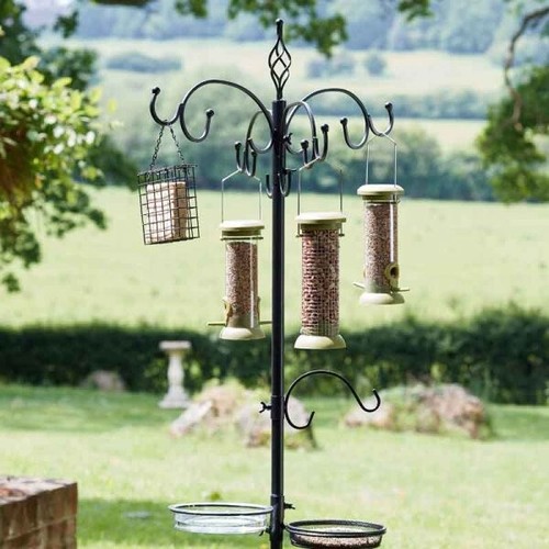 Bird feeding station - feeding,