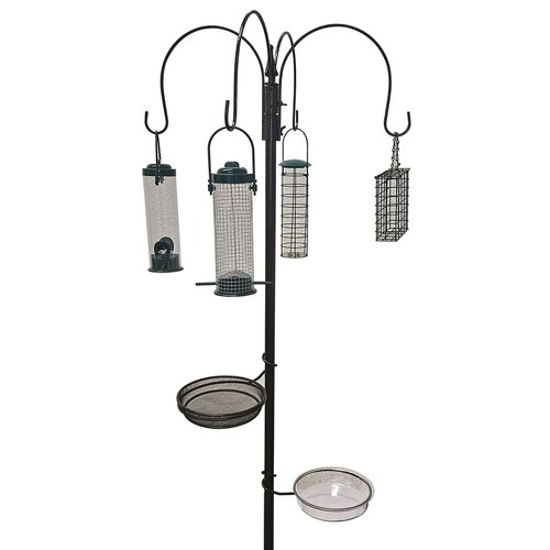 Wild bird feeding station - feeding, with