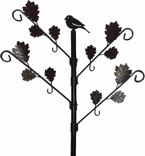 Wild bird feeder feeding - bird,
