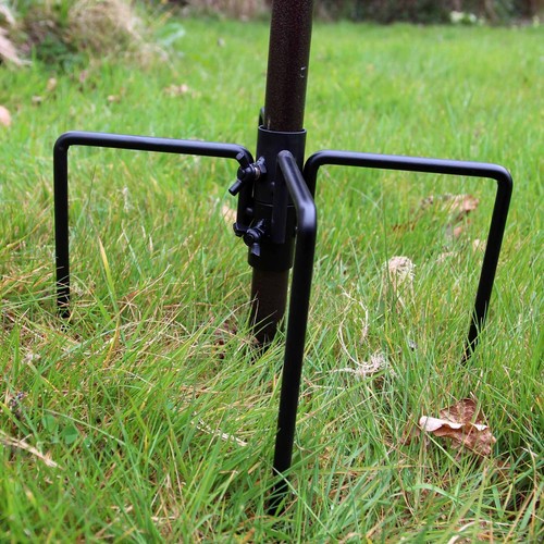 Bird feeding station - bird,