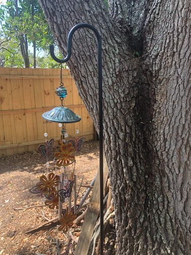 Bird feeders hanging station - bird,