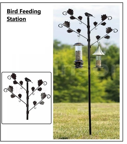 Bird feeders hanging - bird,