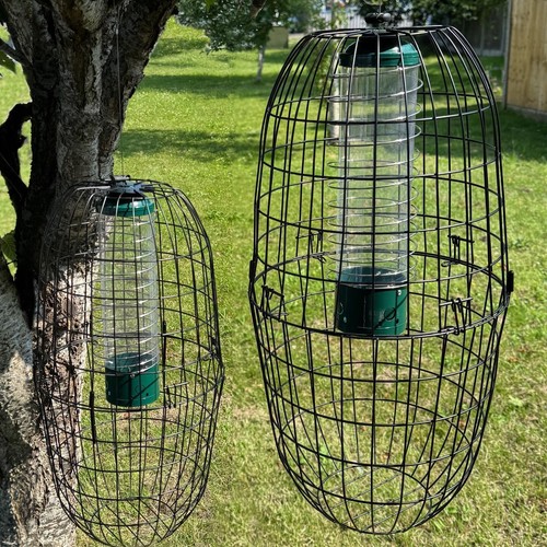 Large squirrel proof - large,