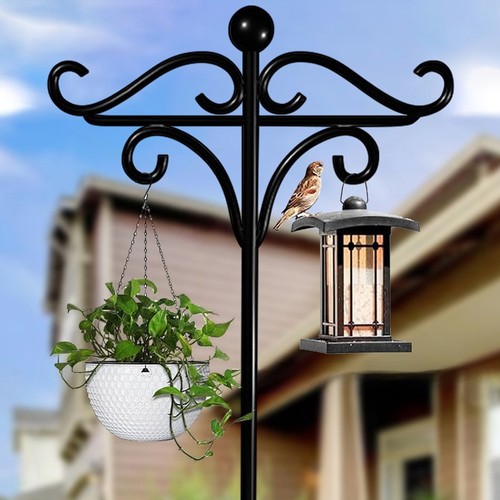 Metal bird feeding - bird, station