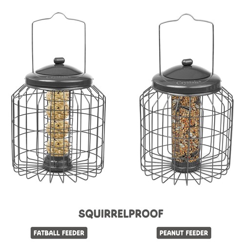 Squirrel proof hanging - proof, bird