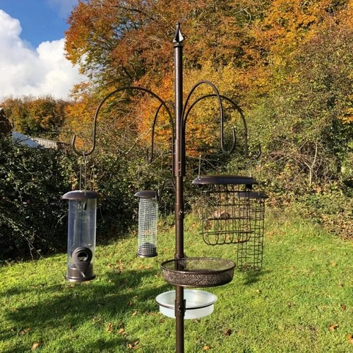 Metal complete bird - bird, feeding