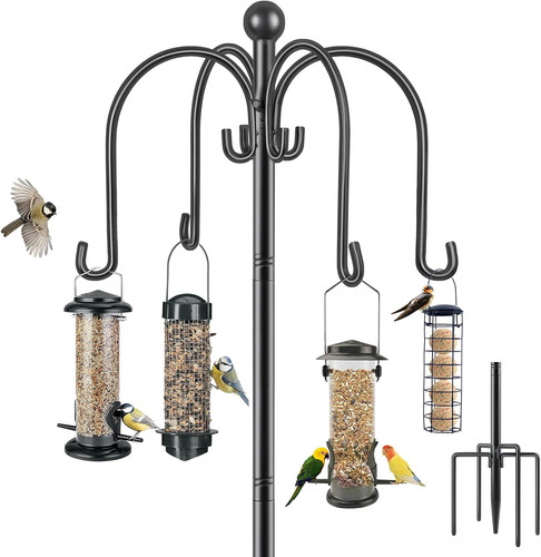 Bird feeders hanging - bird, station