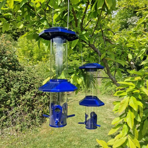 Set squirrel proof - 2,