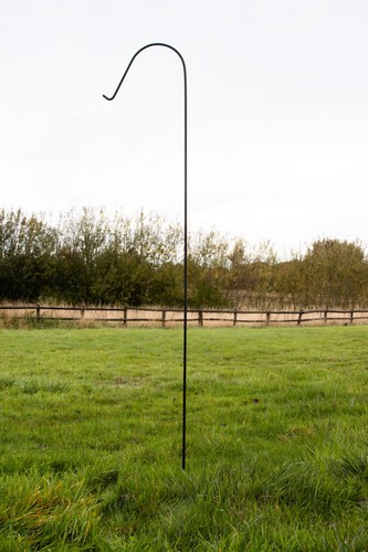 Bird feeder pole - bird,